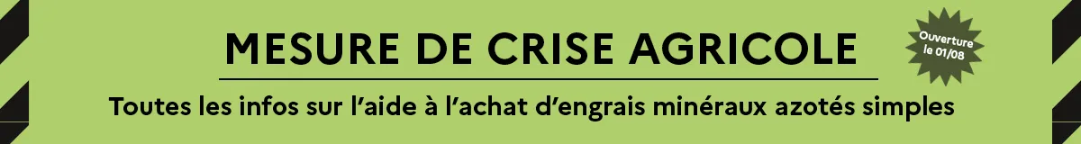 Fortes chaleurs : retrouvez toutes les pr&eacute;cautions &agrave; prendre