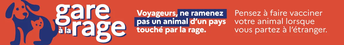 Campagne 