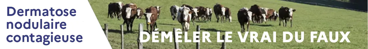 DNC : D&eacute;m&ecirc;ler le vrai du faux